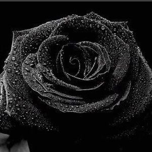 Meet your Posher, Tamara